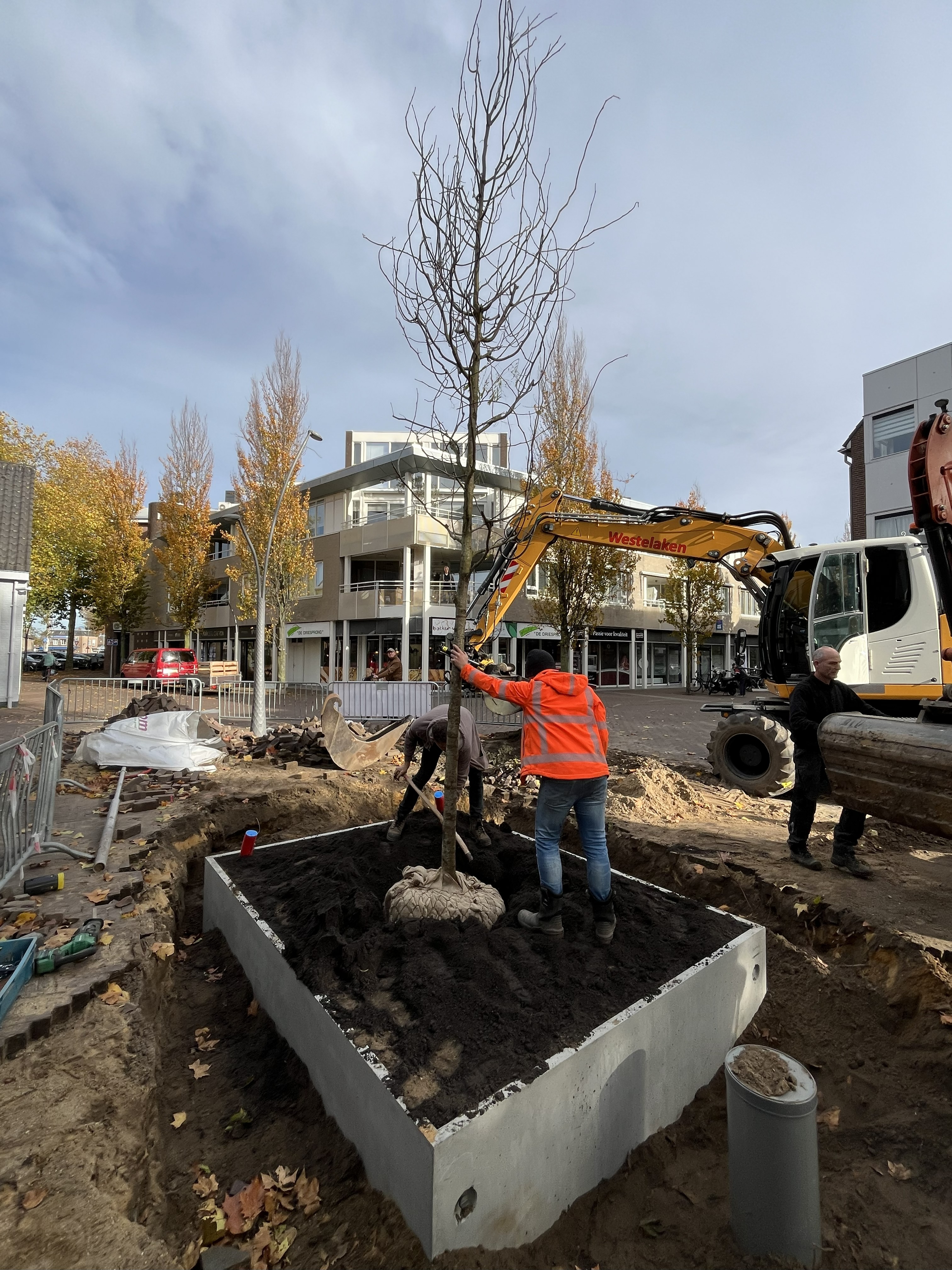 Urban Tree Pit Achter de Driesprong, Rosmalen