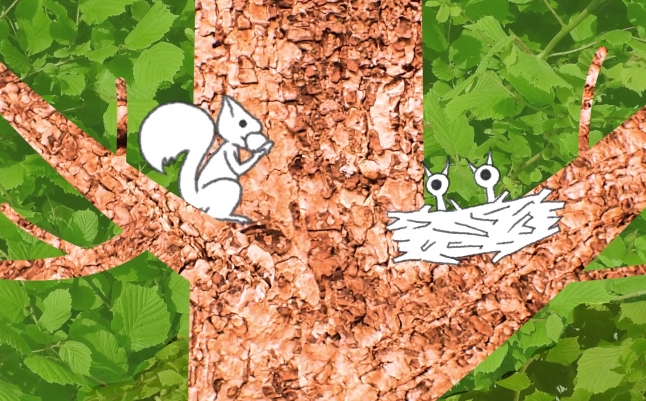 Eekhoorn en vogelnest in een boom — illustratie van biodiversiteit