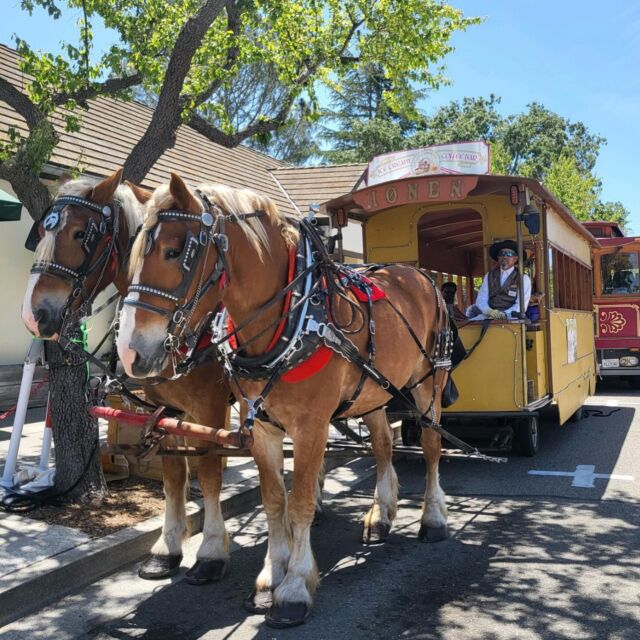 Solvang Trolley Rids Solvang Passport | Explore Danish California